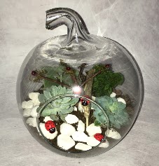 Kk terrarium elma 3 kakts  Balgat Ankara kaliteli taze ve ucuz iekler