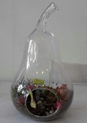 Armut orta boy cam terrarium tanzim  Balgat Muhsin yazcolu Ankara iek gnderme