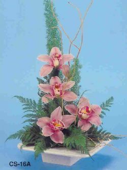  Balgat Muhsin yazcolu Ankara iek gnderme vazoda 4 adet orkide 