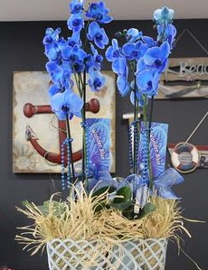 4 dall zel mavi orkide  Balgat Ouzlar Ankara online iek gnderme sipari