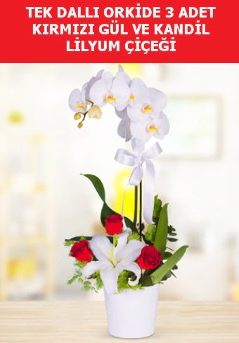 Tek dall orkide 3 gl ve kandil lilyum  Balgat ankaya online ieki telefonlar